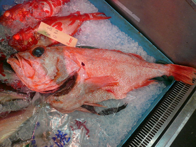 眼睛出來 海鱸 黒門三平