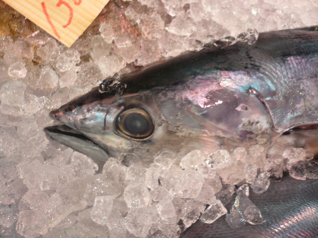 由於琥珀魚鰹魚鮑魚 一個咒語的東西 黒門三平 由於琥珀魚鰹魚鮑魚 一個咒語的東西 黒門三平