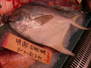Tamori 黒門三平 Tamori 黒門三平