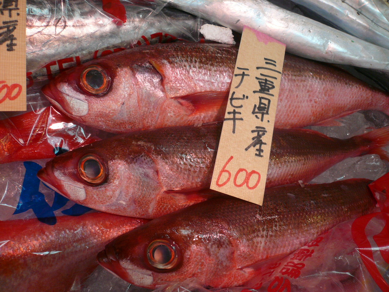 チビキ 黒門三平