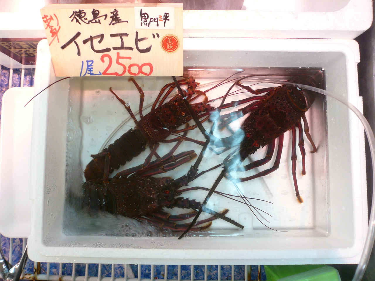 伊勢海老 黒門三平